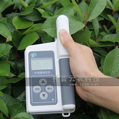 葉綠素測定儀