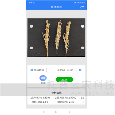稻穗形態(tài)測(cè)量儀