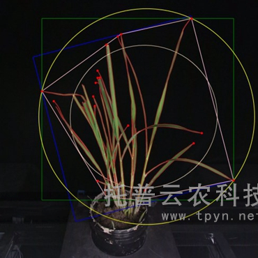 溫室型高通量植物表型采集分析平臺