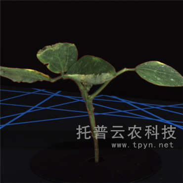 高通量逆境模擬及植物生長監(jiān)測平臺