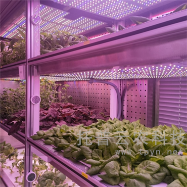植物工廠