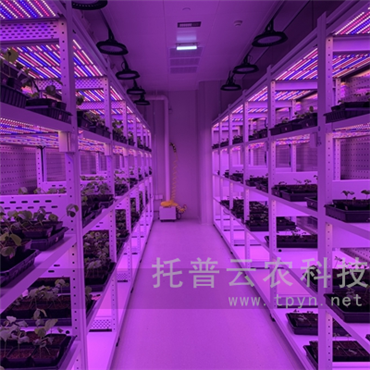 植物工廠