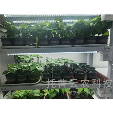 步入式人工氣候箱