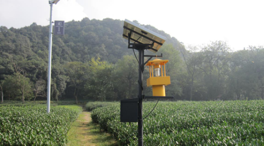 托普云農(nóng)研發(fā)的茶園專用殺蟲燈