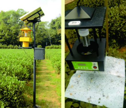 茶園專用殺蟲燈