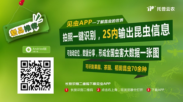 拿害蟲沒轍怕農殘過量？托普云農這款APP讓你的手機變滅蟲好幫手