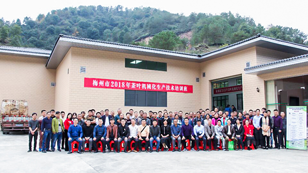 梅州市舉辦茶葉機械化生產(chǎn)技術培訓班 托普云農(nóng)為茶業(yè)發(fā)展保駕護航