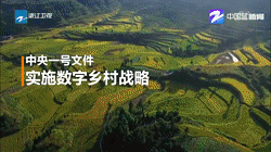 浙江衛(wèi)視：鄉(xiāng)村，如何在“數(shù)字”下變樣