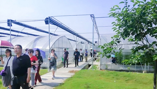 托普云農(nóng)助力青海省農(nóng)機(jī)信息化，海西州農(nóng)機(jī)中心來杭培訓(xùn)