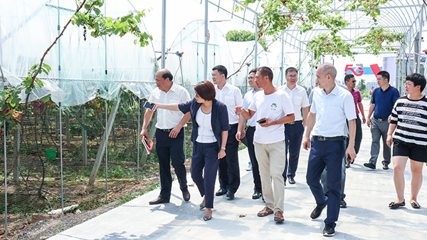 托普云農(nóng)助力浦江打造5G+農(nóng)業(yè)信息化應(yīng)用先行標桿縣