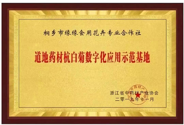 道地藥材數(shù)字化應(yīng)用發(fā)布，杭白菊產(chǎn)業(yè)迎來(lái)數(shù)字化變革