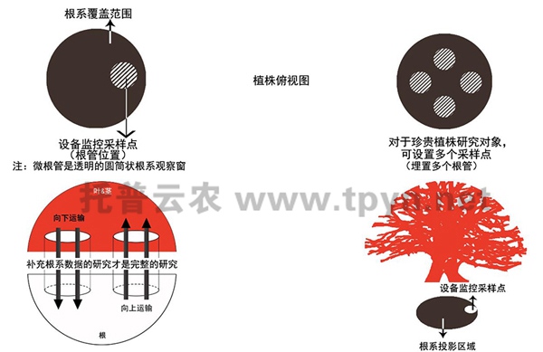 根系顯微生長監(jiān)測系統(tǒng)