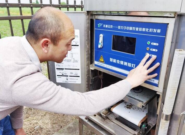 智能蟲情測報燈