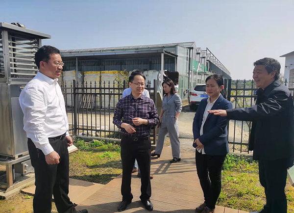 楊華副院長(zhǎng)一行參觀托普云農(nóng)農(nóng)業(yè)生產(chǎn)示范基地?