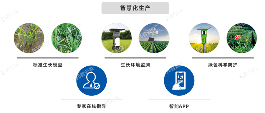 種賣(mài)一體