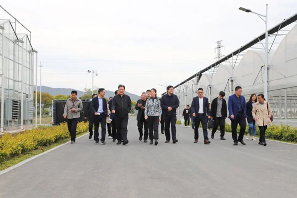 全國農(nóng)業(yè)技術(shù)推廣服務(wù)中心黨委書記、副主任張曄一行蒞臨托普云農(nóng)考察調(diào)研