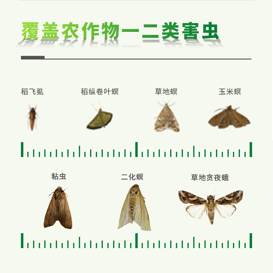 智能蟲情測報(bào)系統(tǒng)