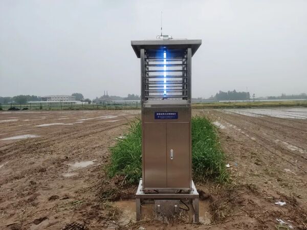 布設(shè)于試驗點的智能蟲情測報燈（拍攝于2021年）